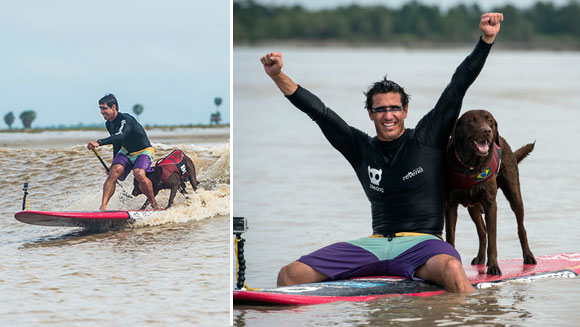 Longest SUP ride on a river bore by a human dog pair collage