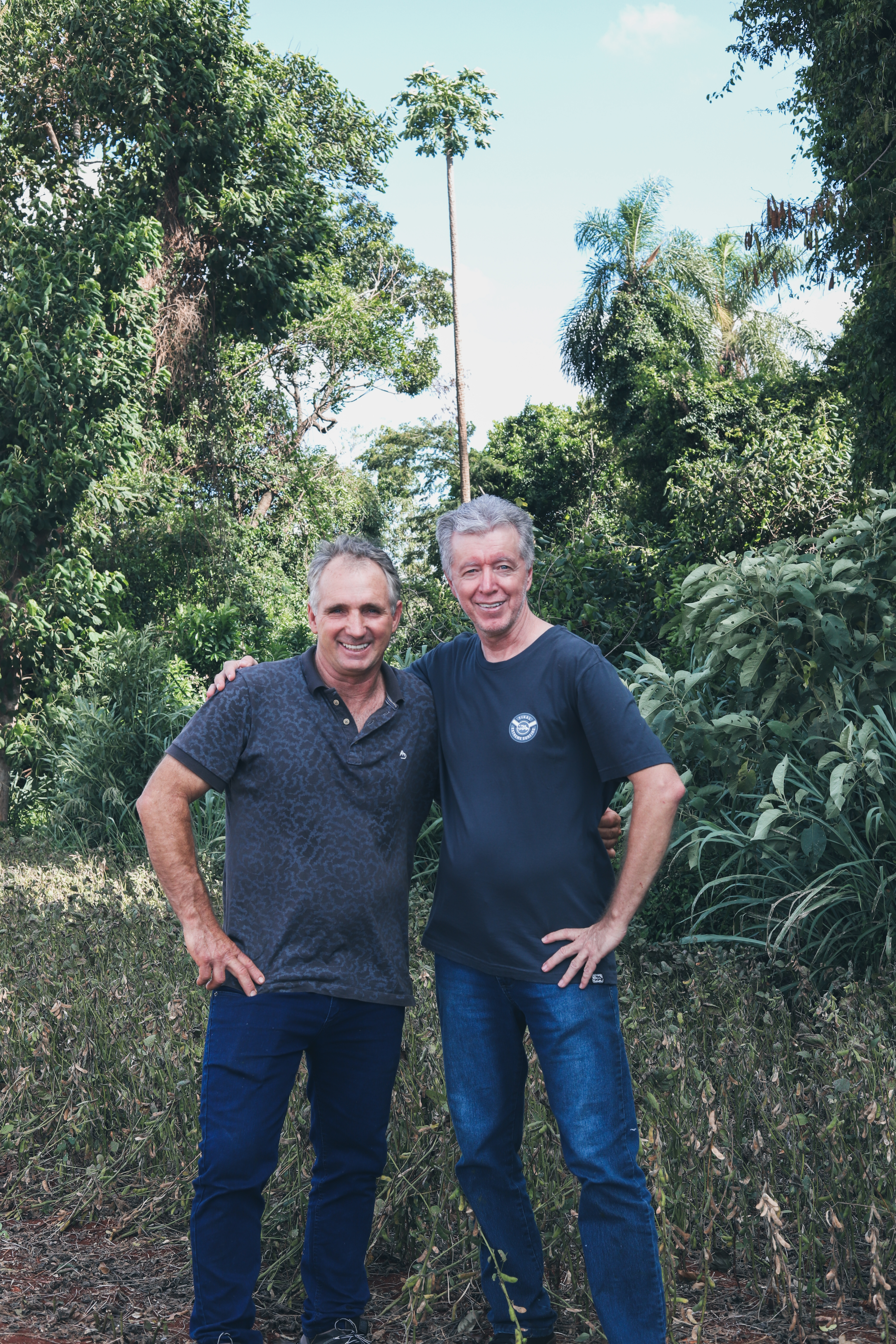 record holders and the tree