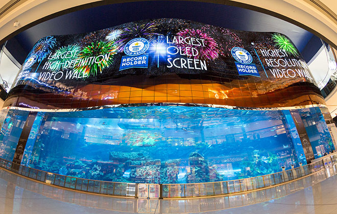 Largest OLED screen display | Guinness World Records